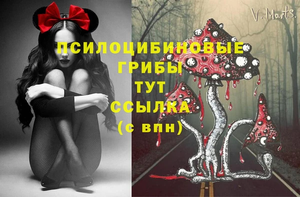 ПСИЛОЦИБИНОВЫЕ ГРИБЫ Пестово