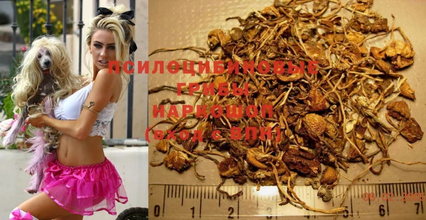 марихуана Абаза